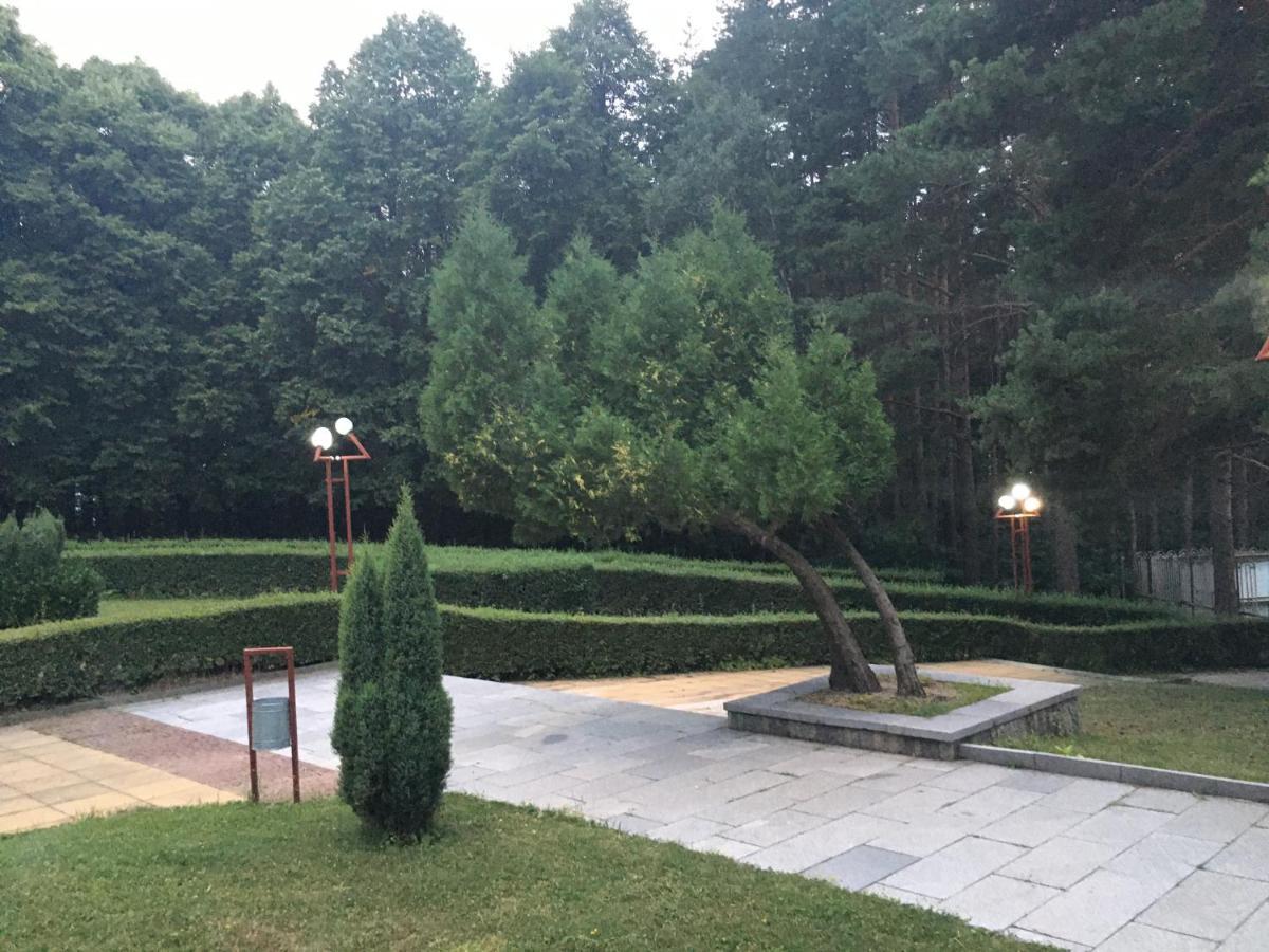 Пд Енерго - Вила Електра Dupnica Exteriér fotografie